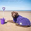 Purple Drying Coat - Labrador Beach